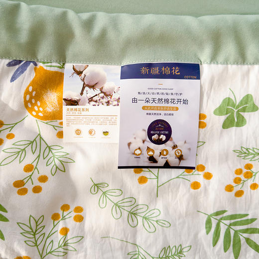 【对于家的期待 不止于想象~】南通家纺夏凉被 a类母婴级 2024新款小清新 水洗棉凉感薄夏被 空调被-QQ 商品图1