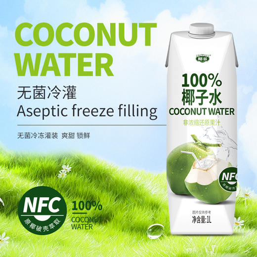 椰谷 NFC100%椰子水 1L×6盒 冲调饮料 商品图4