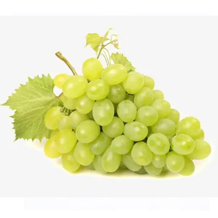 青提(1000g±50g) 商品图0