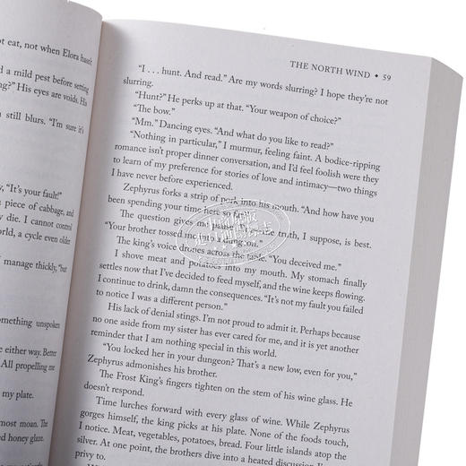 【中商原版】四向风系列1 北风 The North Wind 英文原版 A F Steadman 现代小说 国际流行小说 奇幻小说 商品图3