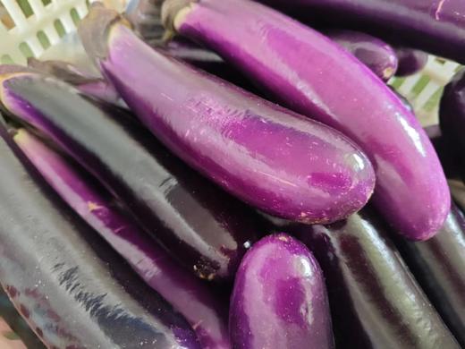 土豆、茄瓜、胡萝卜、甜菜根等、酵素蔬菜组合包 | 自然农耕、六不用种植，时令蔬菜包，各类绿叶蔬菜，小黄姜、萝卜等|| 健源 商品图7