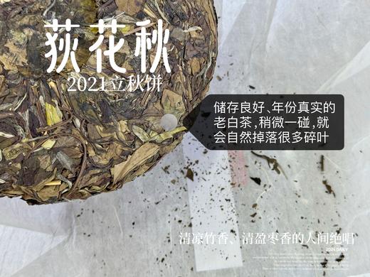 【好茶福利】2021迎秋寿眉饼《荻花秋》，清凉竹香、清盈枣香的人间绝唱(1饼装)！ 商品图6
