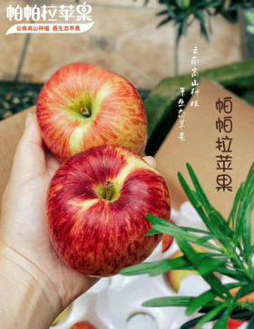 原生态自然熟【云南帕帕拉红露苹果】海拔2000多米高原种植 脆甜多汁 果香浓郁 果酸天然
