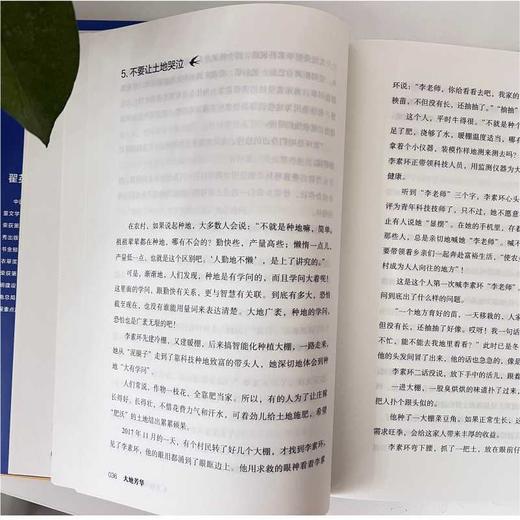 大地芳华 商品图4