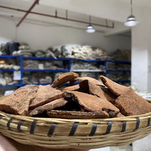 血地胆 商品图1