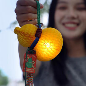 自然造物葫星高照门挂车挂装饰挂件含灯手工DIY玩具文创益智礼物