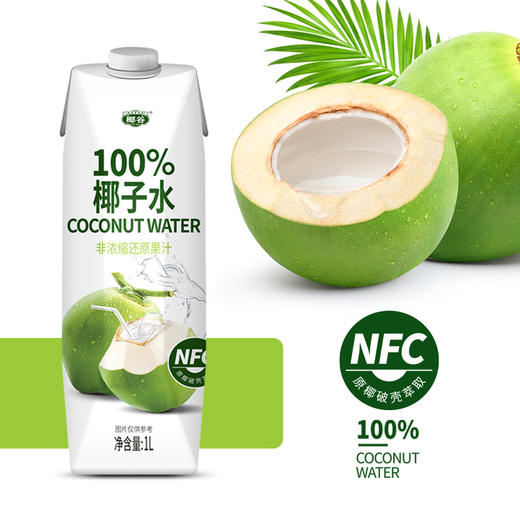 椰谷 NFC100%椰子水 1L×6盒 冲调饮料 商品图2