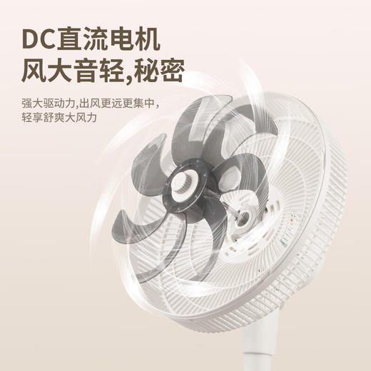 8月内购 松下家用电风扇直流变频落地扇轻音节能柔风大风力可调遥控定时风扇 F-CW3003C-W【台地两用切换】 商品图1