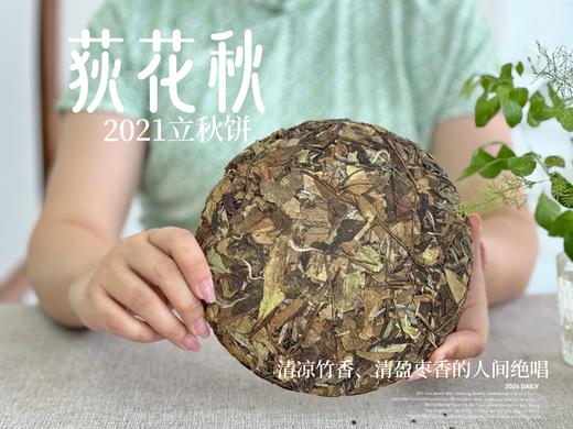 【好茶福利】2021迎秋寿眉饼《荻花秋》，清凉竹香、清盈枣香的人间绝唱(1饼装)！ 商品图1