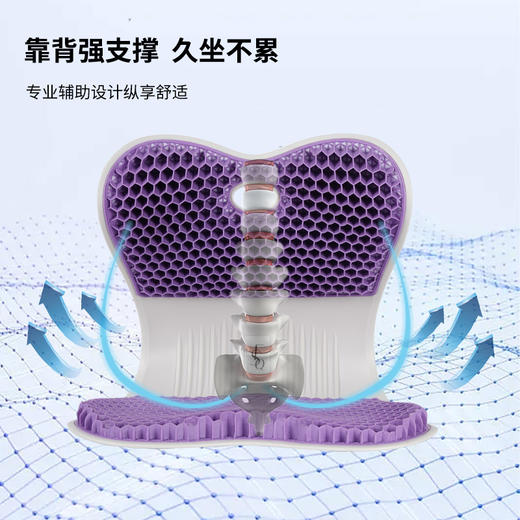 【释压黑科技】思菲其凝胶护腰蜂窝坐垫 柔护脊椎 缓解腰部酸痛 透气舒爽 久坐不累 商品图8
