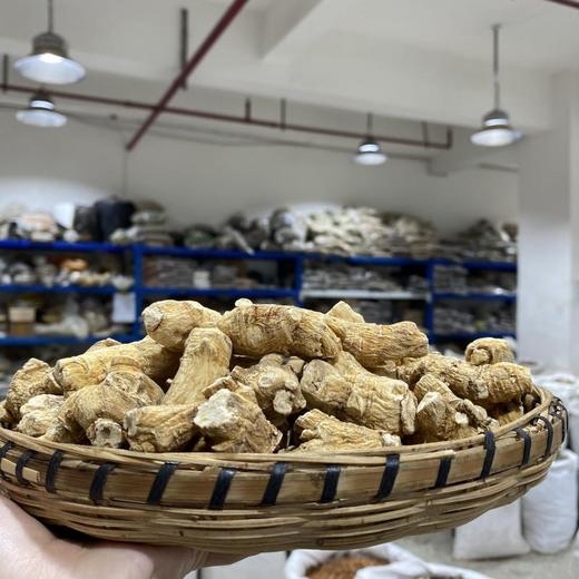 西洋参国产10g粒头 商品图1