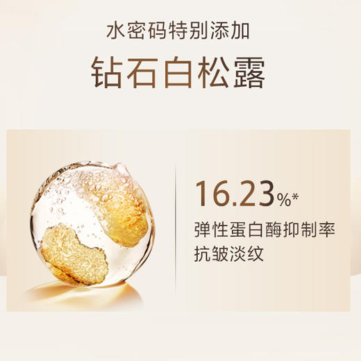 【常规】白松露-50g水密码白松露紧致抗皱精华霜 商品图3