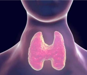 桥本为啥必须吃维生素D？怎么吃？ 