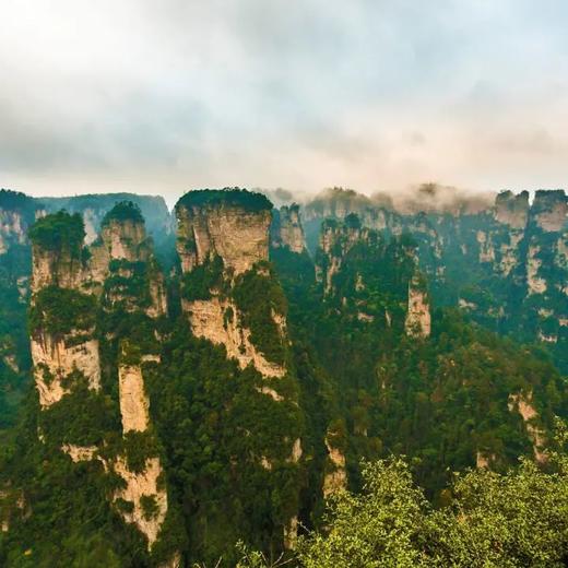 边玩边养老丨漫游张家界，探访奇山秀水，看鬼斧神工峰林奇观！ 商品图5