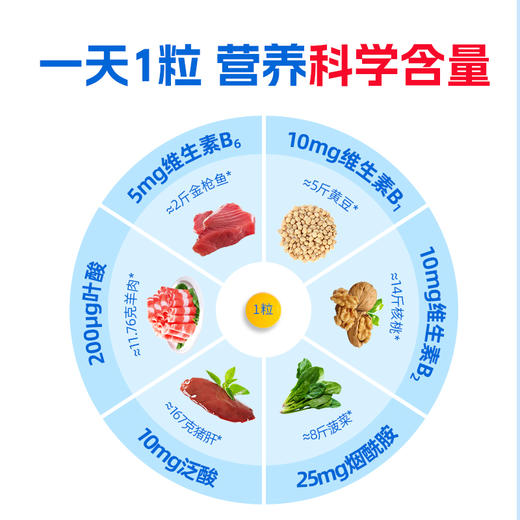 禾博士多种b族维生素片复合维生素B族片b1 b2 b6 商品图4