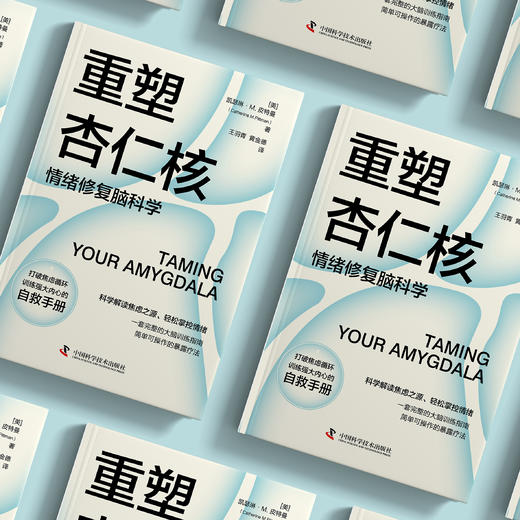 《重塑杏仁核:情绪修复脑科学》 商品图2