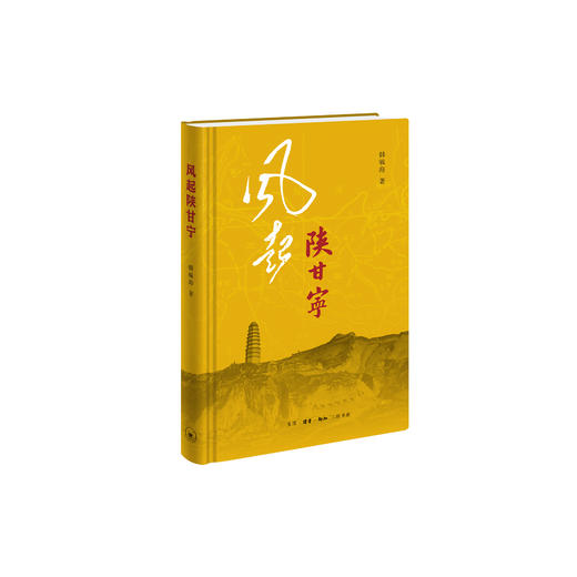 《风起陕甘宁》 商品图0