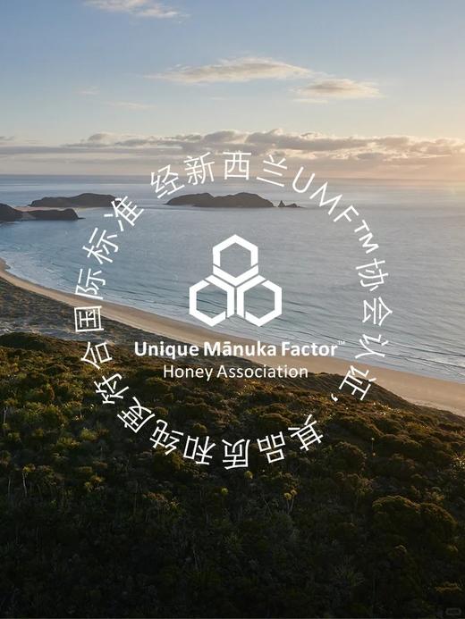 【初蜜蔻×第15届上海双年展】 MGO500+/UMF15+麦卢卡蜂蜜限定装 商品图6
