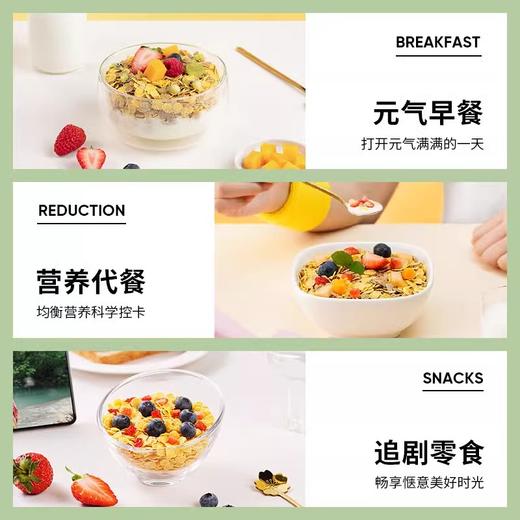 爱杂杂玉米片220g低脂低钠即食冲饮麦片非油炸健康早餐代餐儿童麦片 商品图5