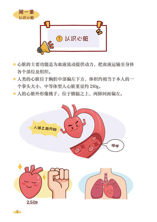 漫话结构性心脏病 附音视频 宋光远 姜正明 临床常见结构性心脏病病因诊治方法 微创治疗原理注意事项9787117365123人民卫生出版社 商品图4