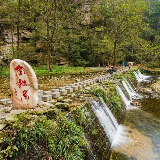 边玩边养老丨漫游张家界，探访奇山秀水，看鬼斧神工峰林奇观！ 商品图6