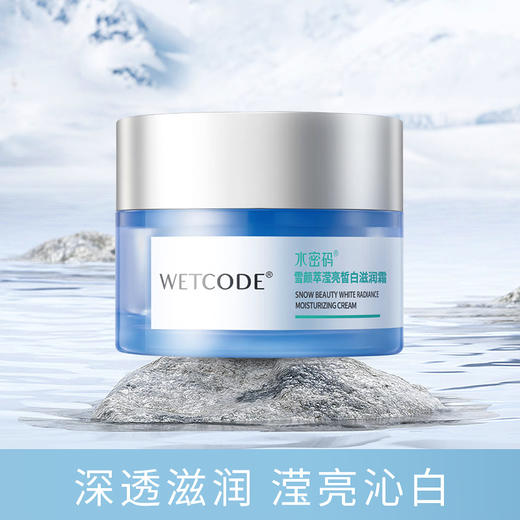 【常规】雪颜萃-50g水密码雪颜萃滢亮皙白滋润霜 商品图1