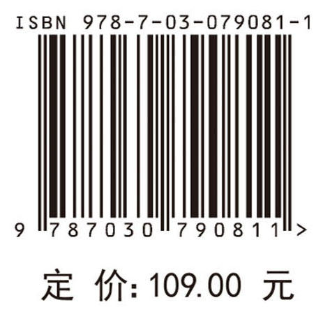中国电子信息工程科技发展研究 网络安全国内外发展态势研究 商品图2