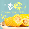 燕之坊 黄糯玉米220g*10支 即食新鲜营养早餐 商品缩略图3