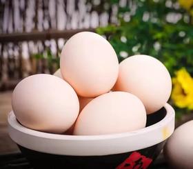 散养柴鸡蛋年卡