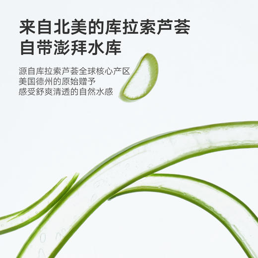 DAISY SKY雏菊的天空丨库拉索芦荟胶原液30ml 商品图2