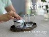 【好茶福利】2021迎秋寿眉饼《荻花秋》，清凉竹香、清盈枣香的人间绝唱(1饼装)！ 商品缩略图9