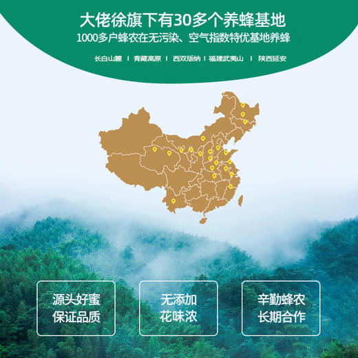 【包邮】大佬徐成熟椴树蜜 花园蜜境2条装 0添加 未检出蔗糖 0脂肪  小蜜蜂自酿成熟蜜 商品图2