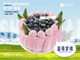 动物奶油 蓝莓梦境蛋糕 [8英寸 6~8人食用]