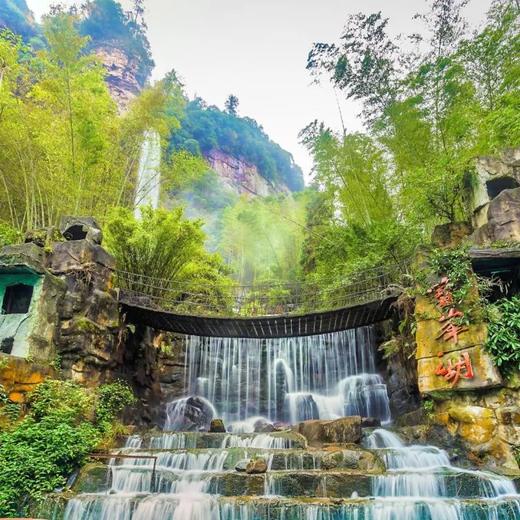 边玩边养老丨漫游张家界，探访奇山秀水，看鬼斧神工峰林奇观！ 商品图8