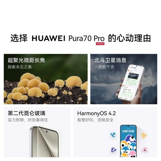 （已减300元）华为 Pura 70 Pro 商品图2