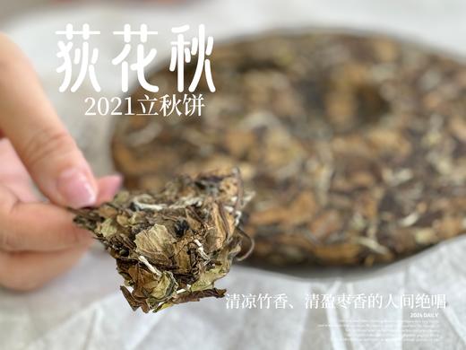 【好茶福利】2021迎秋寿眉饼《荻花秋》，清凉竹香、清盈枣香的人间绝唱(1饼装)！ 商品图7
