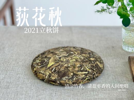 【好茶福利】2021迎秋寿眉饼《荻花秋》，清凉竹香、清盈枣香的人间绝唱(1饼装)！ 商品图3