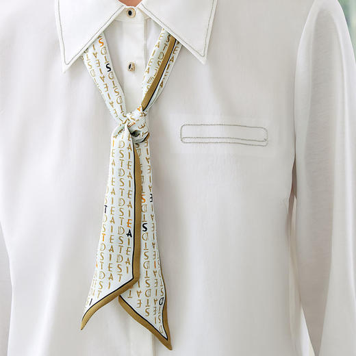 玳莎字母印花原创桑蚕丝小长条真丝丝巾发带春秋飘带绑包包发带  EC52001 商品图2