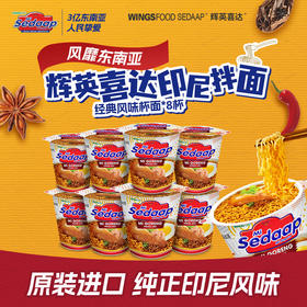 辉英喜达印尼拌面经典杯面 印尼进口网红捞面 早餐速食方便面夜宵泡面营养多杯面