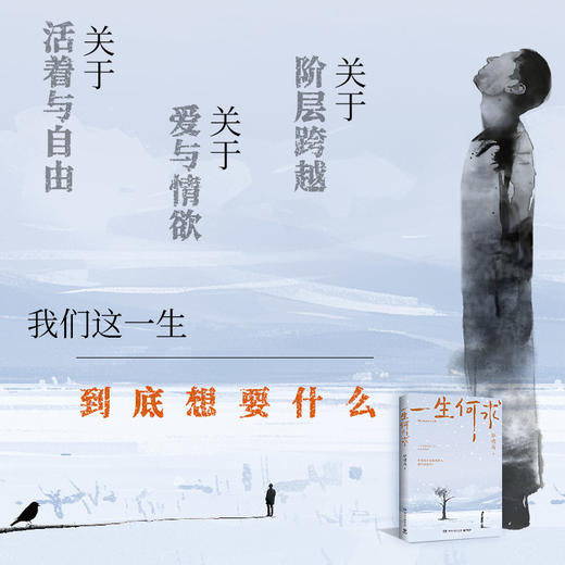 一生何求 商品图2