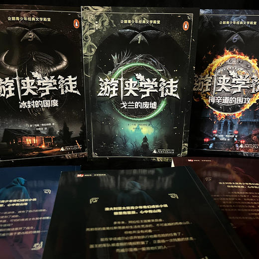 神秘岛· 游侠学徒（全6册） 10-14岁 商品图5