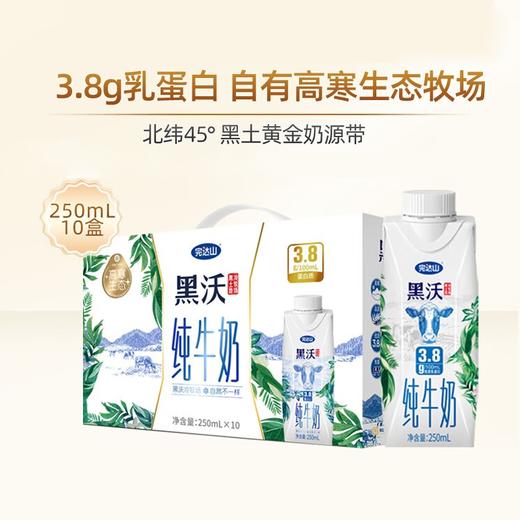 梦幻盖黑沃纯牛奶250ml*10（不带手提袋） 商品图0