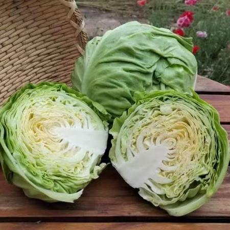 野菜夫人有机蔬菜 品种：大娃娃菜，圆白菜（包菜），生菜，西兰花，西芹，土豆，洋葱，南瓜 商品图6