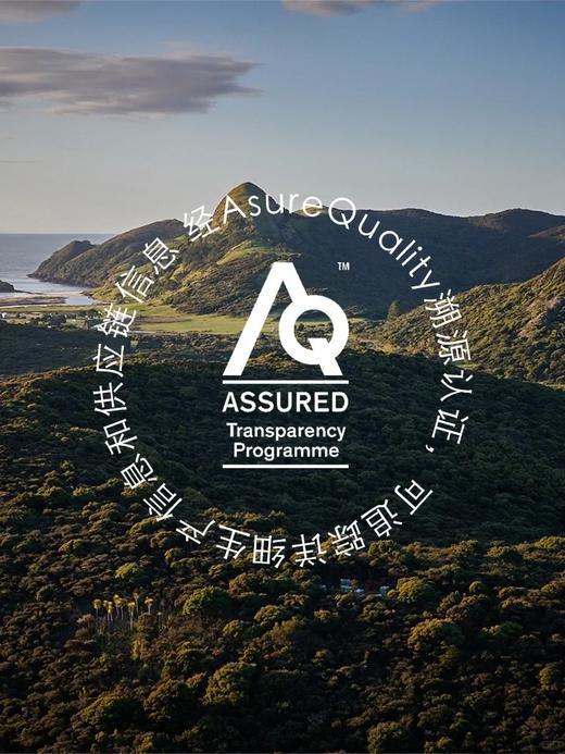 【初蜜蔻×第15届上海双年展】 MGO500+/UMF15+麦卢卡蜂蜜限定装 商品图7