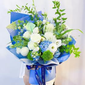 夏安——清凉夏日