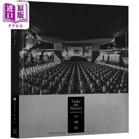 【中商原版】天桥底 港台艺术原版 周浩文 Brownie Publishing