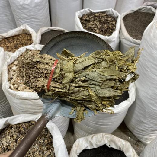 见血清 商品图4