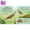 【中商原版】整理动物 对动物世界进行分类 Get Your Animals in Order 英文原版 儿童科普绘本 自然科学知识百科图画书 精装 商品缩略图4
