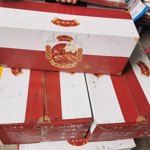 2只装脆皮乳鸽【2A3下-3F】 商品图1