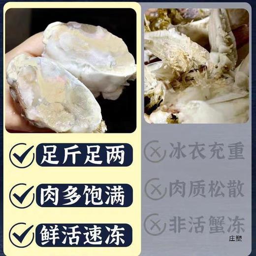 【顺丰新鲜发货！新鲜捕捞梭子蟹】"只只精选“ 人工挑选的大好蟹，肉质紧实有弹性，美味停不下来，六月黄新鲜大闸蟹L 商品图3
